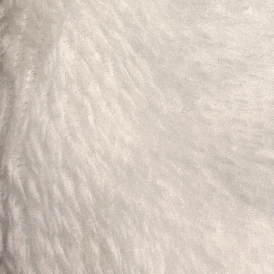 POLAR SOFT