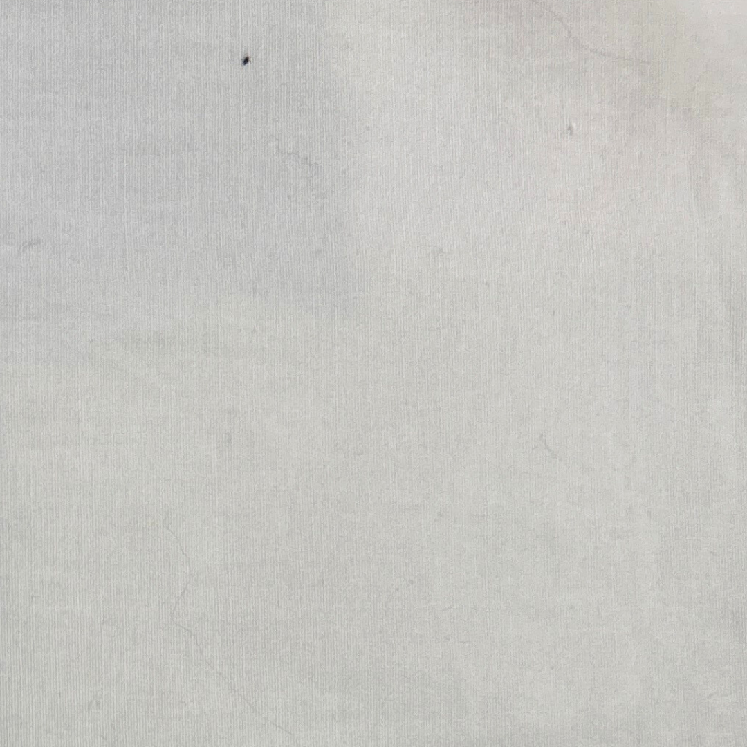 POPLIN